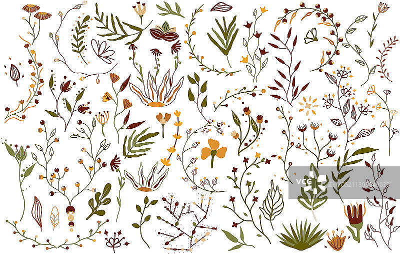 大型植物野花花园植物套装图片素材