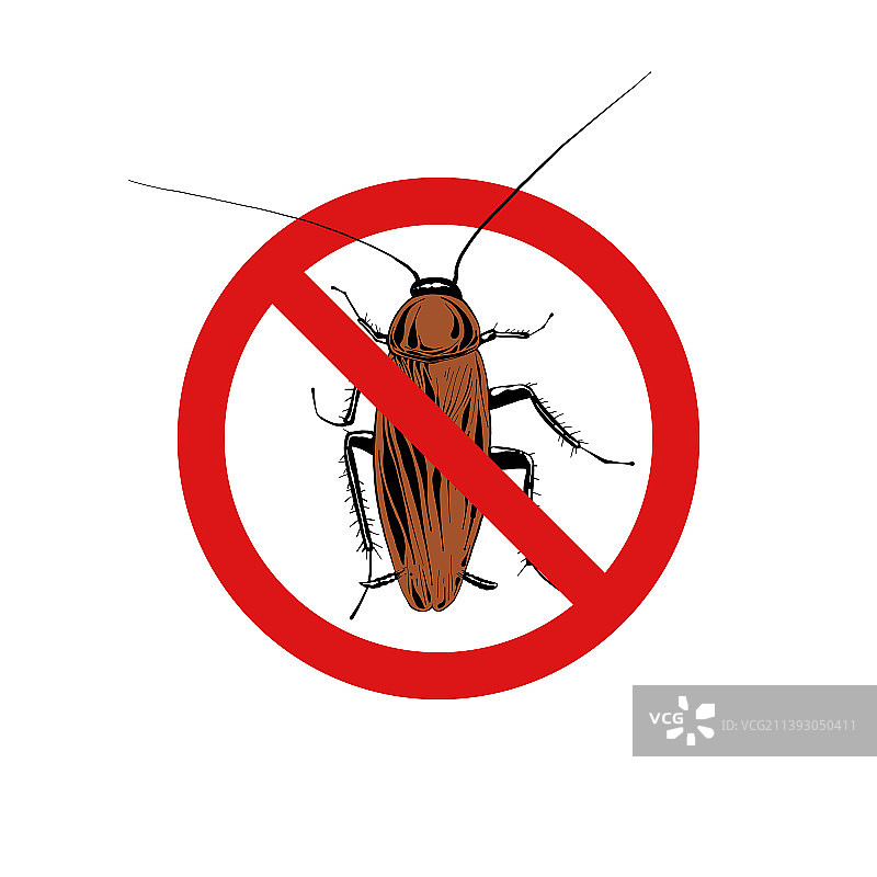 手绘雕刻风格的蟑螂图片素材