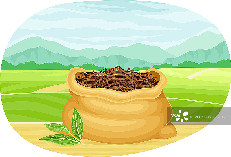 绿色茶园梯田图片素材