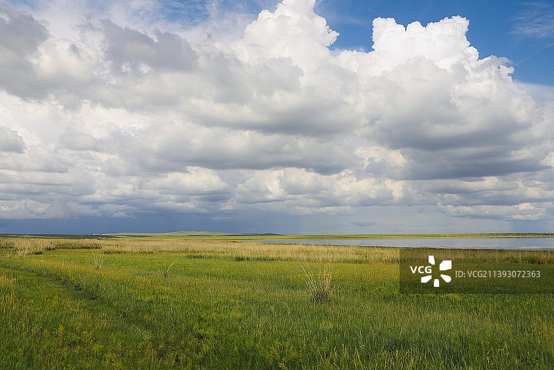 草地湿地景观图片素材