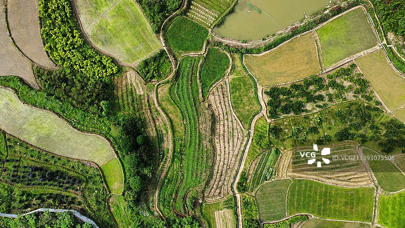 农业领域的高角度视角图片素材