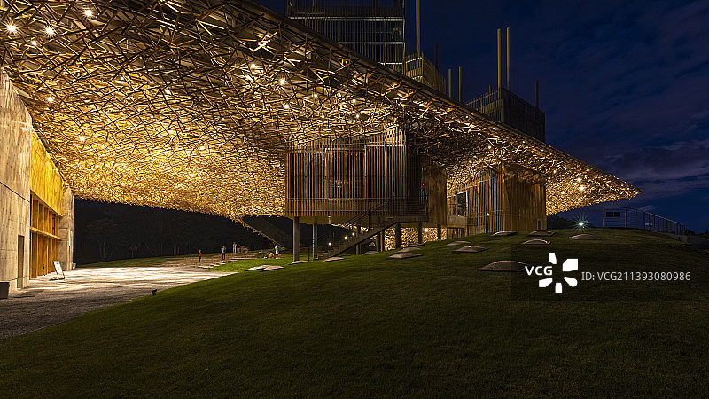 云南大理杨丽萍大剧院夜景图片素材