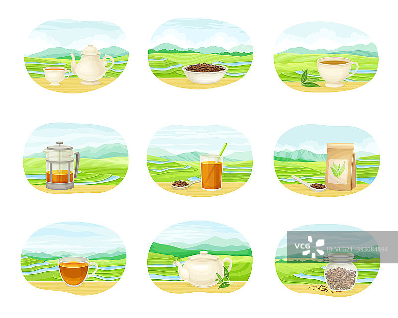 绿色茶园梯田和茶壶图片素材