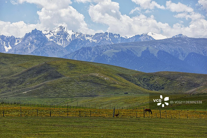 巴音布鲁克图片素材