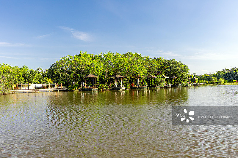 夏季南沙湿地公园湖边的钓台图片素材
