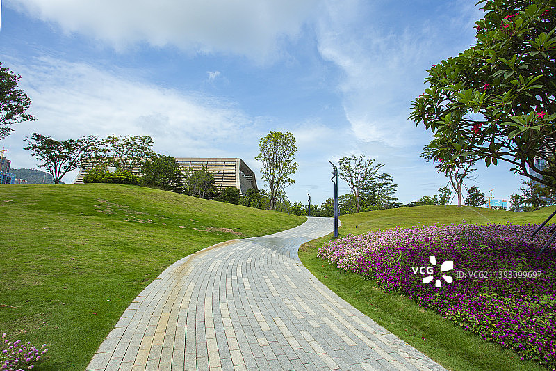 深圳桂湾公园里的石板人行道图片素材