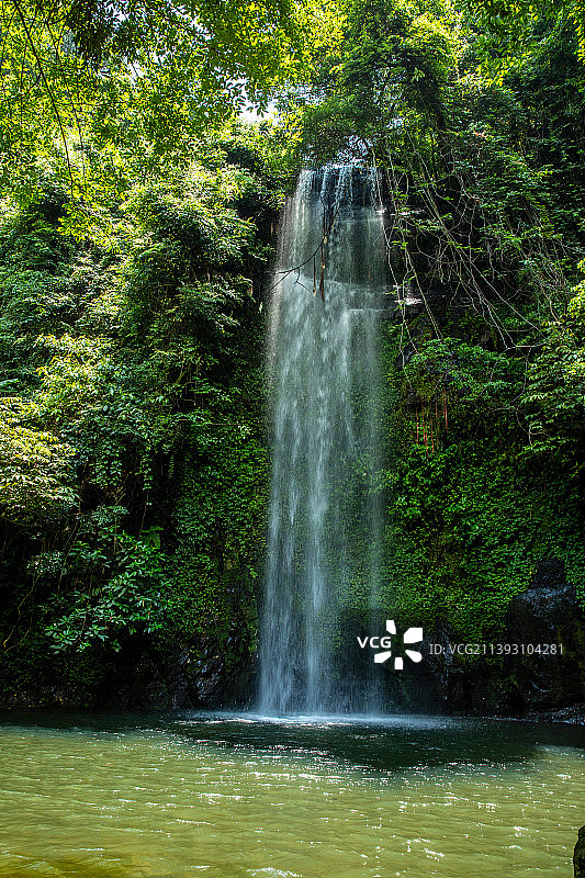 《广西九龙瀑布》图片素材