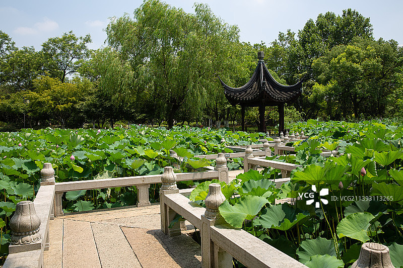 苏州园林昆山亭林园夏日风光图片素材