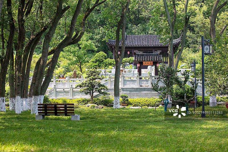 苏州园林昆山亭林园夏日风光图片素材