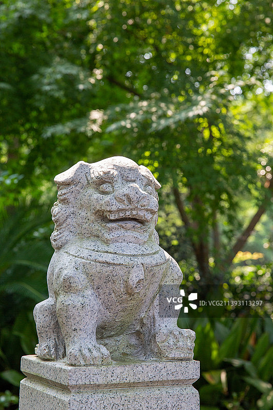 苏州园林昆山亭林园夏日风光图片素材