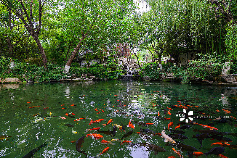 天下第一泉，山东济南5A级景区趵突泉图片素材