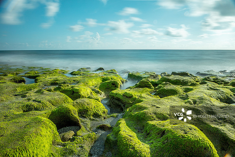 夏威夷海边长满青苔的岩石和宁静的海水（美国）图片素材