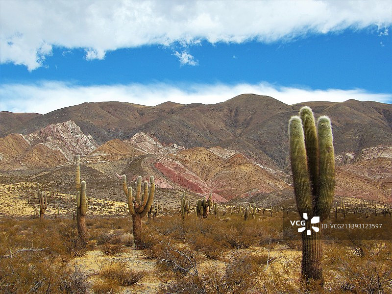 阿根廷萨尔塔卡奇的壮丽景色图片素材