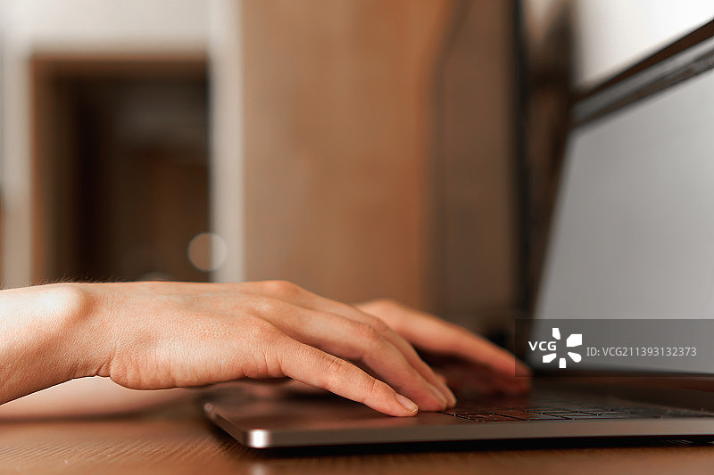 女人在笔记本电脑上输入数字进行投资分析图片素材