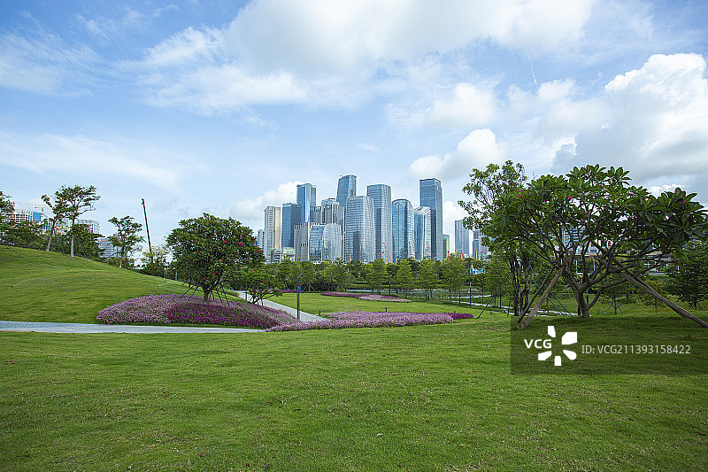 深圳桂湾公园花海及城市建筑群图片素材