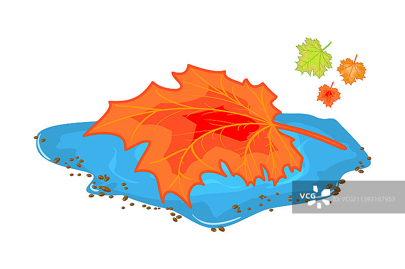 白色背景上的水坑落叶图片素材
