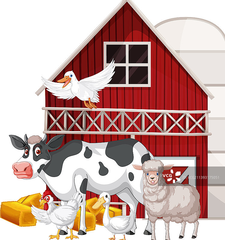 多种动物农业主题图片素材