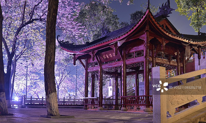 古典的唯美。四川南充市白塔公园，泡桐树花在灯光下映射出迷人的色彩图片素材