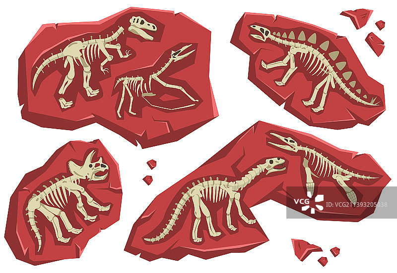 恐龙骨骼套装图片素材