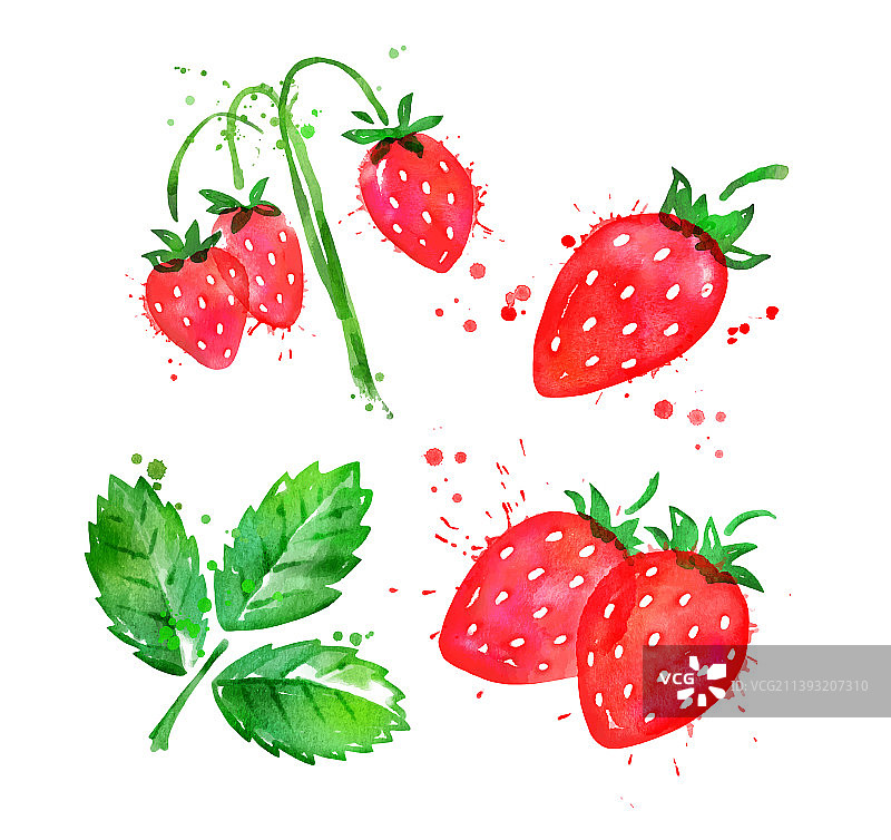 野生草莓水彩画图片素材