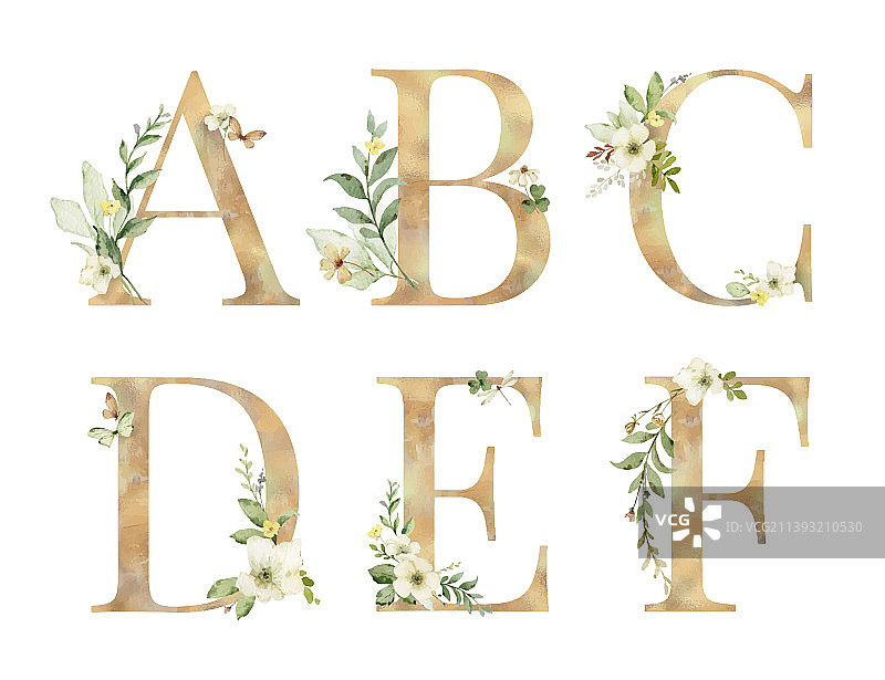 花卉字母A B C D E F图片素材