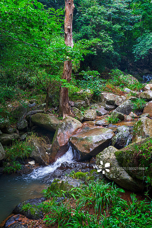 浙江省安吉县-浙北大峡谷（72）图片素材