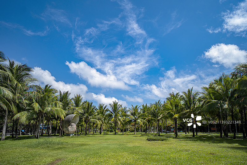 三亚大东海椰林/海南旅游图片素材