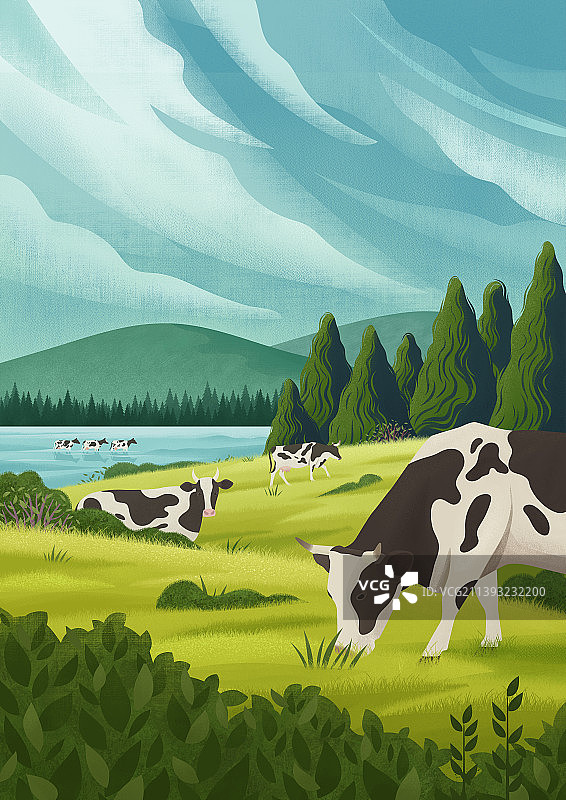 湖边的草原，奶牛在吃草图片素材