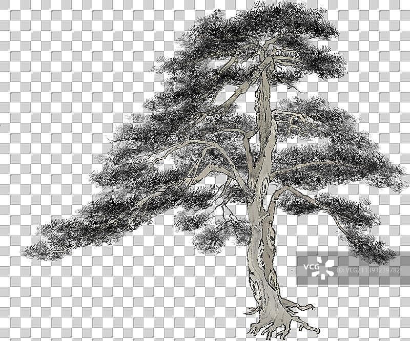 国画树图片素材