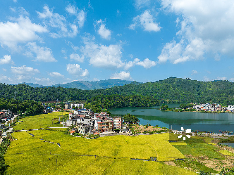 广西蒙山县乡村夏日山水田园美景如画图片素材