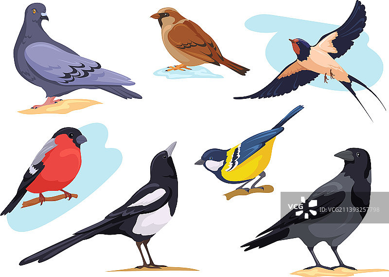 卡通城市森林中的常见鸟类图片素材