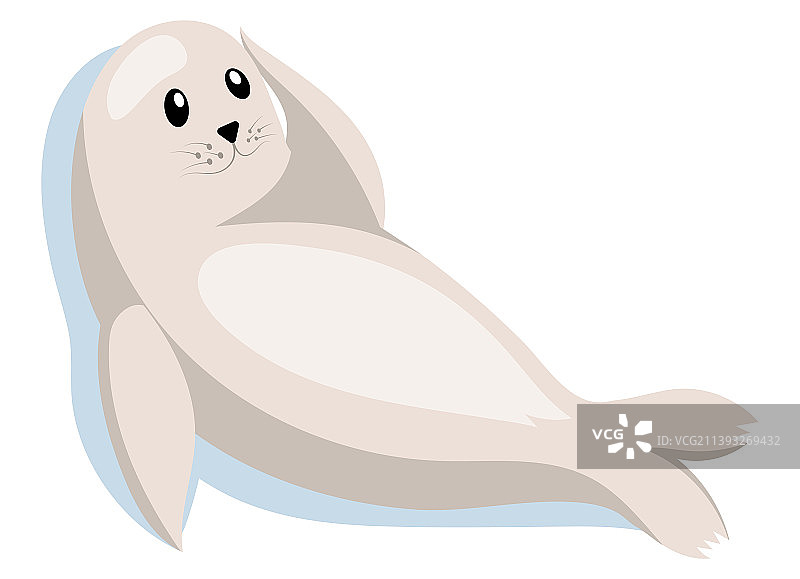 躺在浮冰上休息的小海豹图片素材