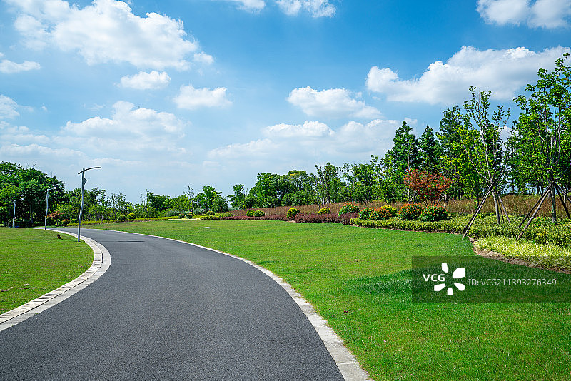 阳光树林和城市公园步行小路图片素材