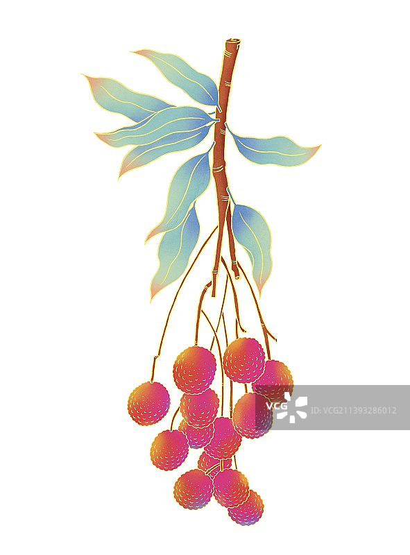 中国风描边渐变荔枝图片素材