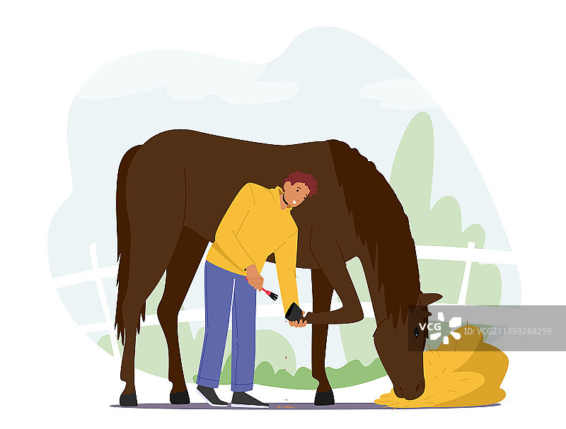 马夫照料纯种马图片素材