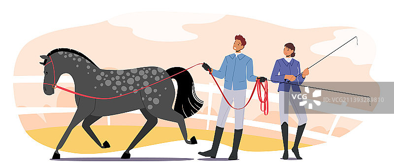 马术运动俱乐部马匹训练概念图片素材