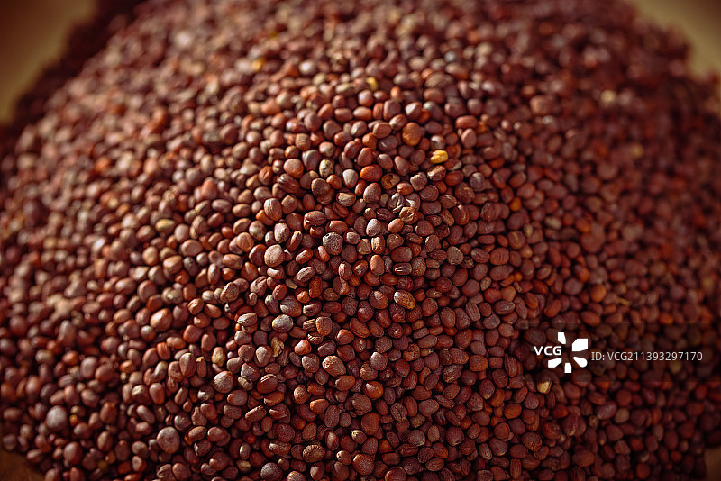 放在金色秤盘子里的中药莱菔子图片素材