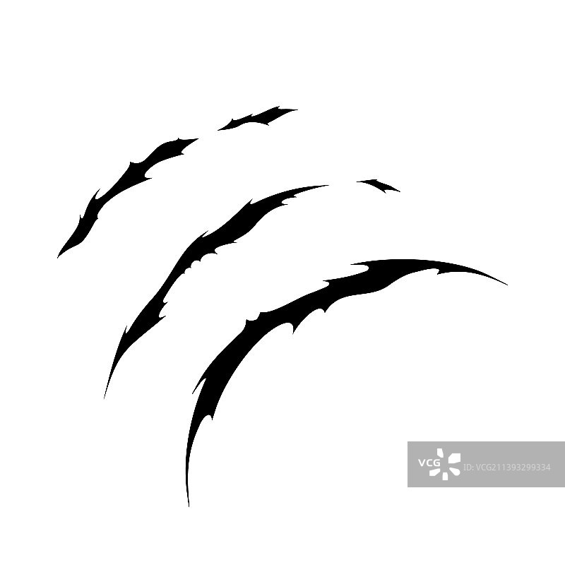 野生动物的爪子抓痕图片素材