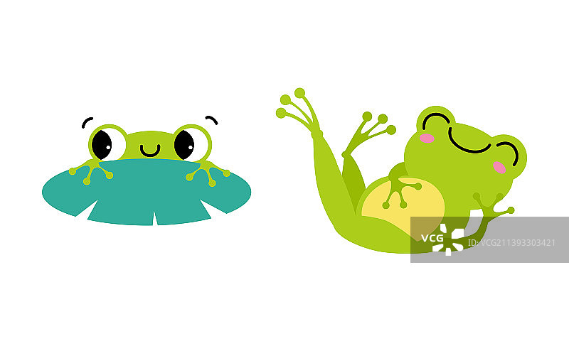游泳和躺着的可爱绿色小青蛙图片素材