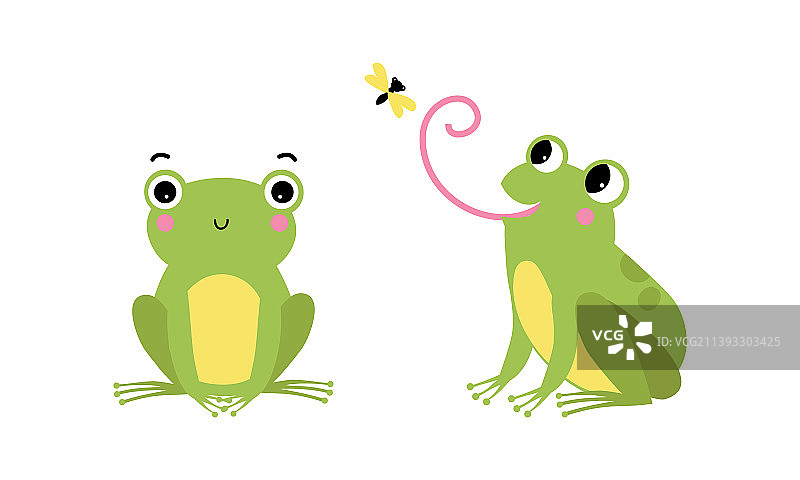 坐着捕捉的可爱绿色小青蛙图片素材