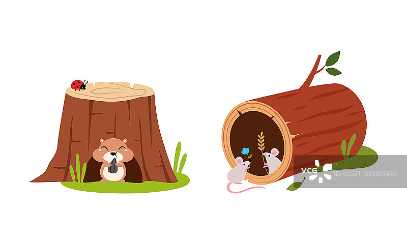 可爱的仓鼠和老鼠洞穴动物图片素材