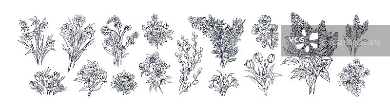 复古风格花卉图纸轮廓图片素材