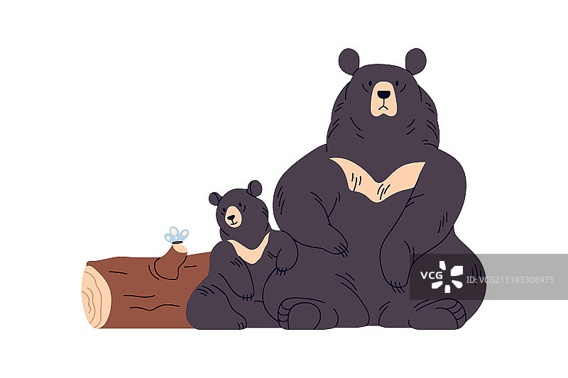马来熊一家：母熊和小熊，热带野生动物图片素材
