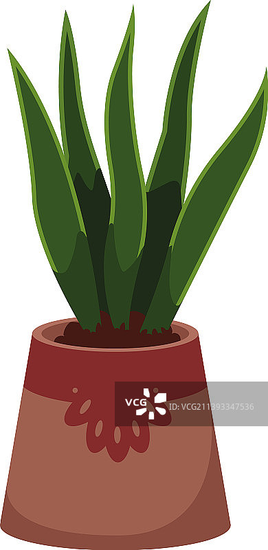 盆栽水生植物图片素材