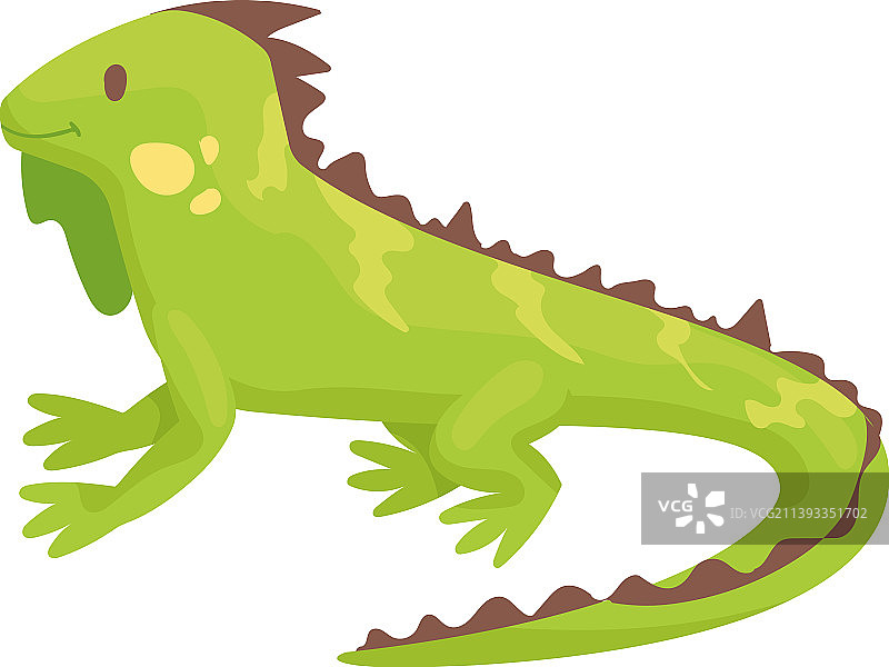 可爱的小鬣蜥图片素材