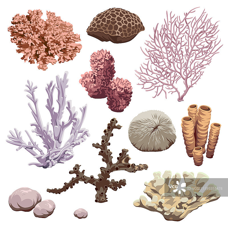 礁石图标，包含珊瑚和海绵图片素材