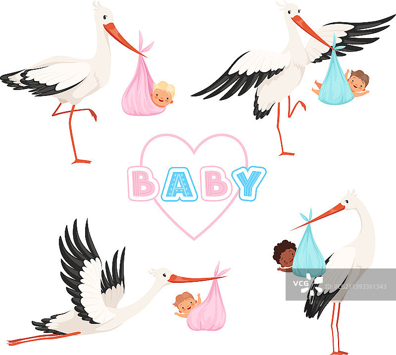可爱的鹳鸟带着新生儿飞行图片素材