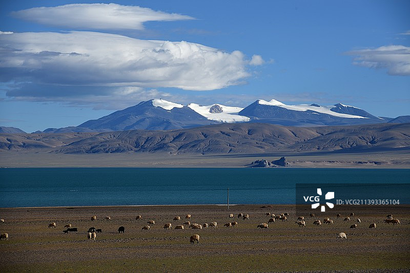 达则措图片素材