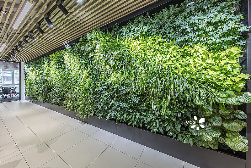 办公室前台植物装饰墙面图片素材