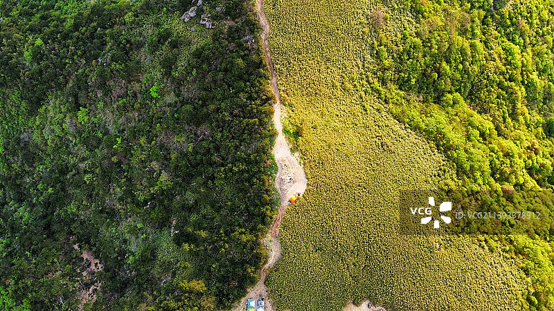 航拍树林苗圃山林树荫图片素材